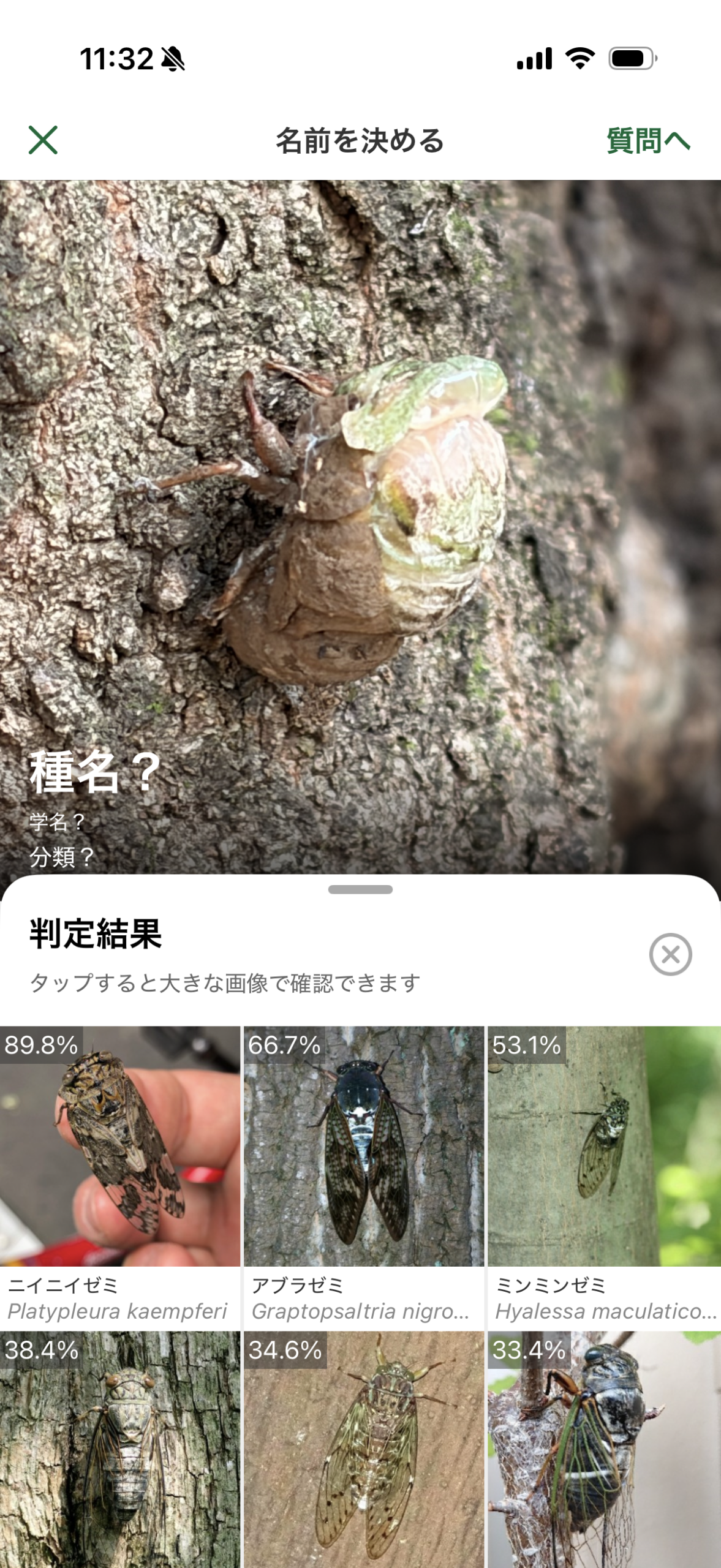 Biome バイオーム 4歳自然体験モンテ アプリ画面