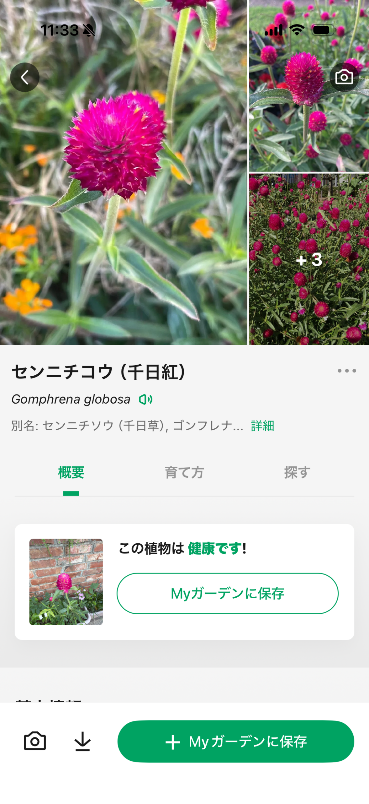 PictureThis ピクチャーディス アプリ画面